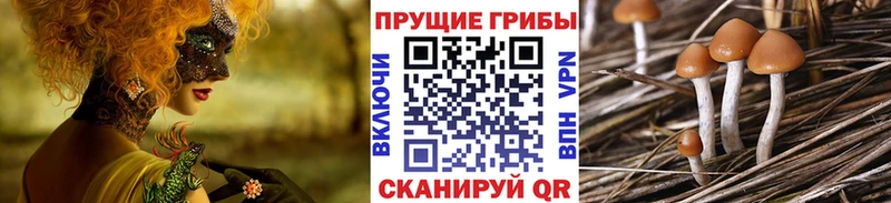 Псилоцибиновые грибы GOLDEN TEACHER Белая Холуница
